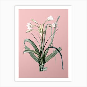 Vintage Malgas Lily Botanical on Soft Pink n.0353 Art Print