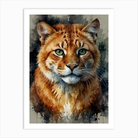 Lynx1 Art Print