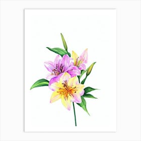Lilies Watercolour Flower Art Print