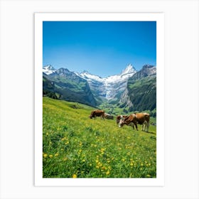 Cows Grazing In The Alps Art Print