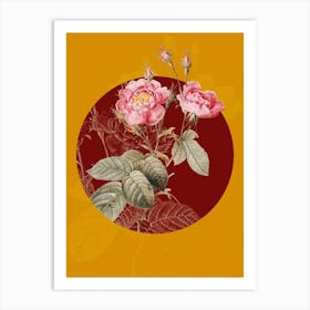 Vintage Botanical Anemone Centuries Rose on Circle Red on Yellow n.0274 Art Print