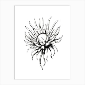 Dahlia Flower 1 Art Print