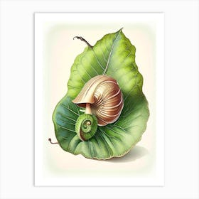 Garden Snail On A Leaf Botanical Art Print