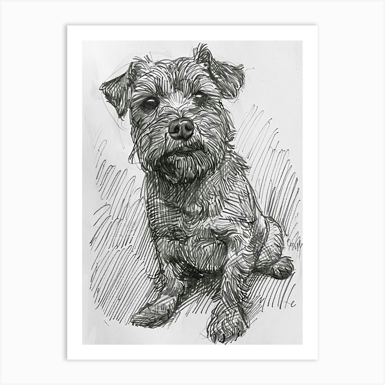 Norfolk Terrier Phone Case Wallet Norfolk Terrier Phone Case Wallet