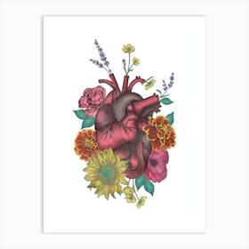 Anatomical Heart Red Yellow Art Print