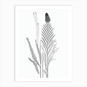 Horsetail Herb William Morris Inspired Line Drawing 3 Art Print