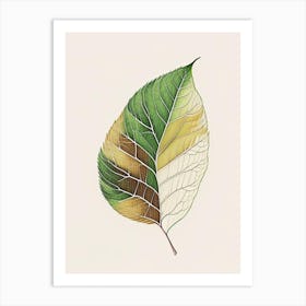 Birch Leaf Warm Tones 3 Art Print