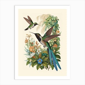 Hummingbirds botanical flower beauty Art Print