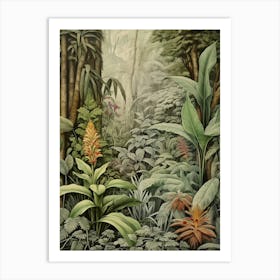 Vintage Jungle Botanical Illustration Ginger 1 Art Print