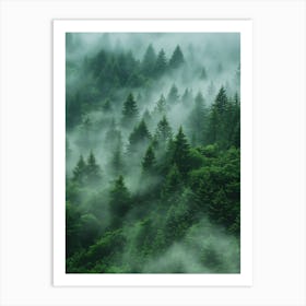Misty Forest Art Print