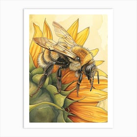 Colletidae Bee Storybook Illustration 10 Art Print