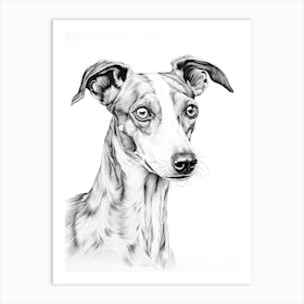 Whippet Dog, Line Drawing 2 Art Print