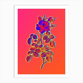 Neon Four Seasons Rose in Bloom Botanical in Hot Pink and Electric Blue n.0082 Art Print