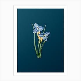 Vintage Sapphire Patersonia Botanical Art on Teal Blue n.0935 Art Print