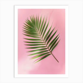 Palm Leaf On Pink Background 1 Art Print