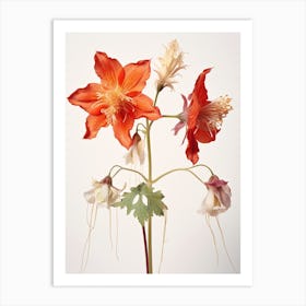 Pressed Wildflower Botanical Art Columbine 2 Art Print