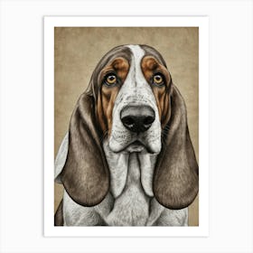 Basset Hound 1 Art Print