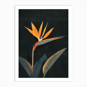 Bird Of Paradise 17 Art Print