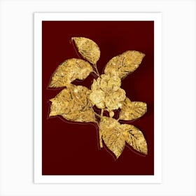 Vintage Stewartia Tree Botanical in Gold on Red Art Print