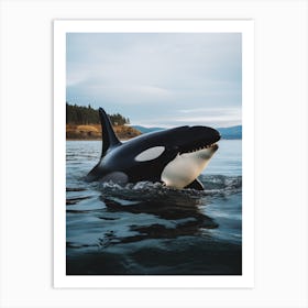 Realistic Photography Of Orca Whale Coming Out Of Ocean 5 Art Print