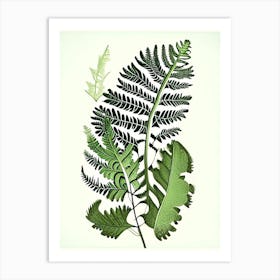 Maidenhair Spleenwort 1 Vintage Botanical Poster Art Print