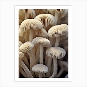 Mushroom Photography 8 Art Print