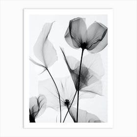 Black White Photograph Flowers W Art Print