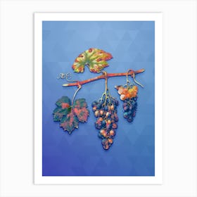 Vintage Summer Grape Botanical Art on Blue Perennial n.1287 Art Print