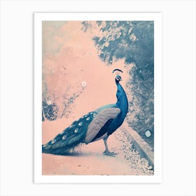 Peacock In The Wild Blue Cyanotype 2 Art Print