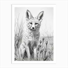 Bengal Fox In A Field Pencil Drawing 1 Art Print
