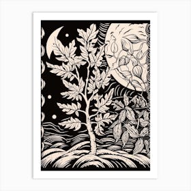 B&W Plant Illustration Croton Codiaeum 2 Art Print