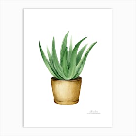 Aloe vera plant. Green plant. Beautiful plant. Thorns plant. Aloe vera flowers.12 Art Print