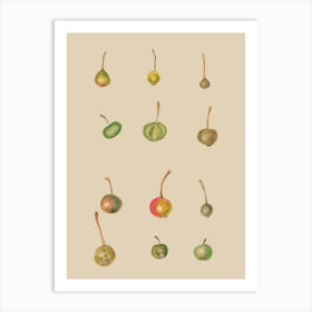 Pears 1 Art Print