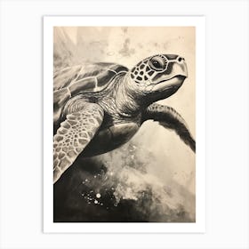 Sepia Sea Turtle Illustration Art Print