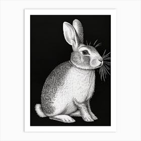 Argente Blockprint Rabbit Illustration 4 Art Print