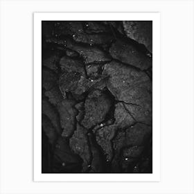 Black And White Photography Art Print