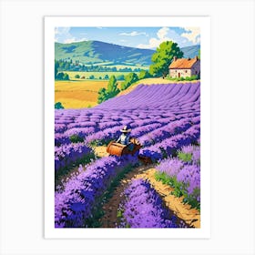 Lavender Field 2 Art Print