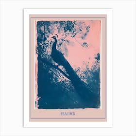 Pink & Blue Peacock Cyanotype Style 6 Poster Art Print