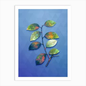 Vintage Eared Willow Botanical Art on Blue Perennial n.0939 Art Print