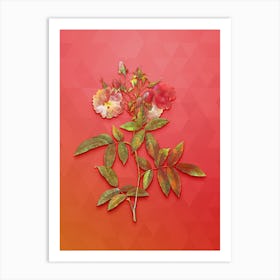 Vintage Hudson Rose Botanical Art on Fiery Red n.0596 Art Print