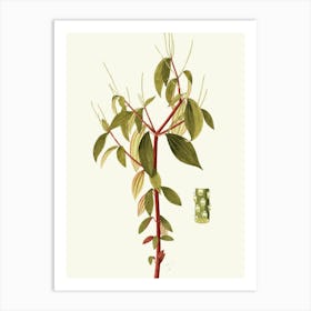 Rhododendron 6 Art Print