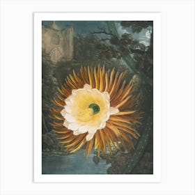 Cactus Flower 5 Art Print