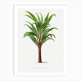 Kerchove 3 Les Palmiers Art Print