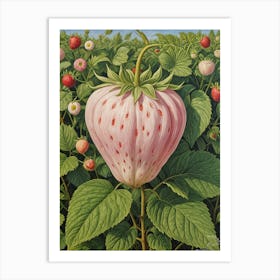 Giant Pink Strawberry Art Print