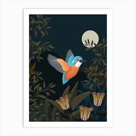 Kingfisher Bird At Night Art Print