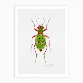 Cicindela campestris, a green tiger beetle, watercolor artwork Art Print