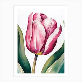 Pink Tulip 5 Art Print