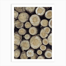 Stacked Logs Art Print