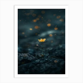 Flower In The Dark 14 Art Print