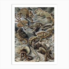 Vintage Haeckel 18 Tafel 79 Eidechsen Art Print